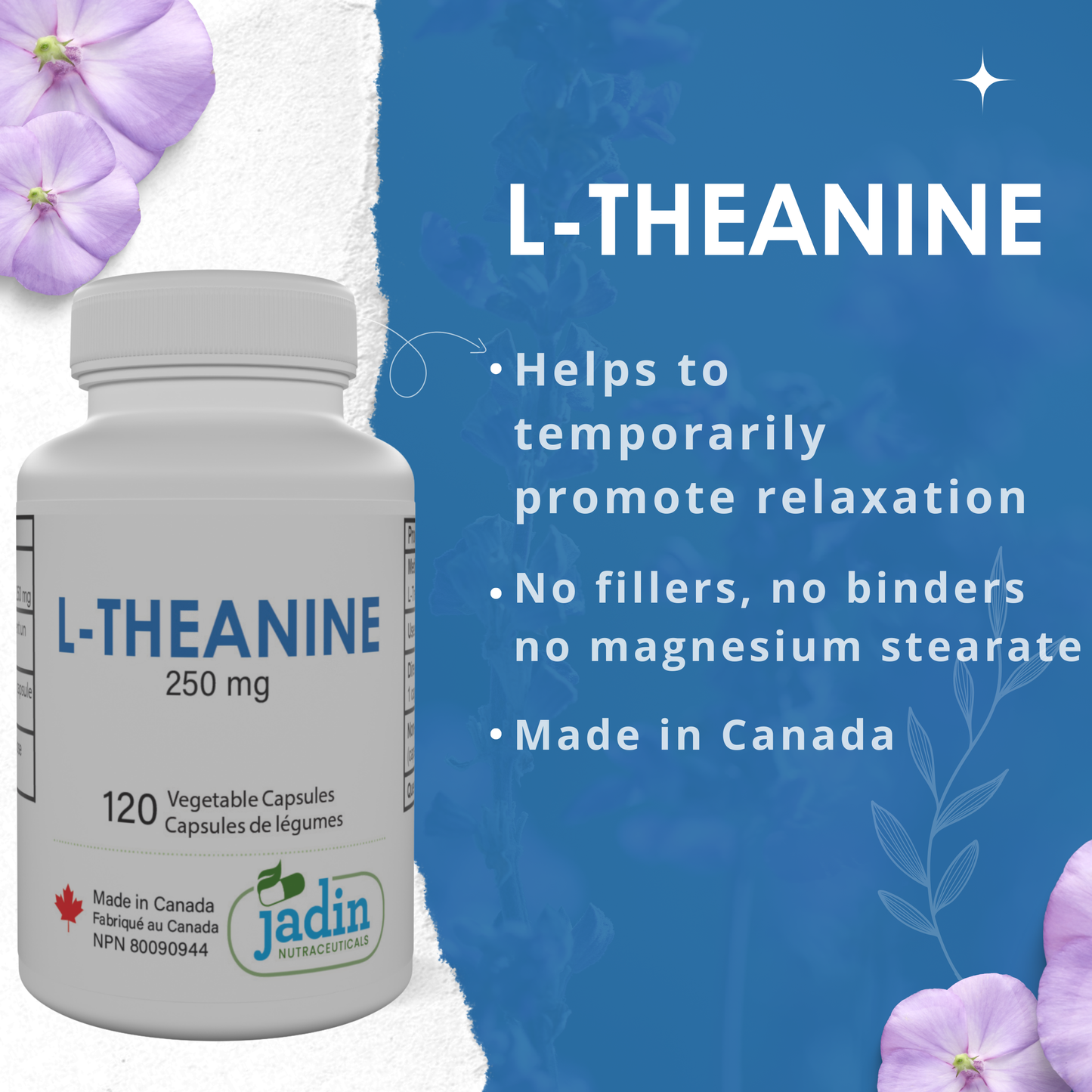 L-THEANINE 250 mg – Pure – No Fillers – 120 Vegetable Capsules