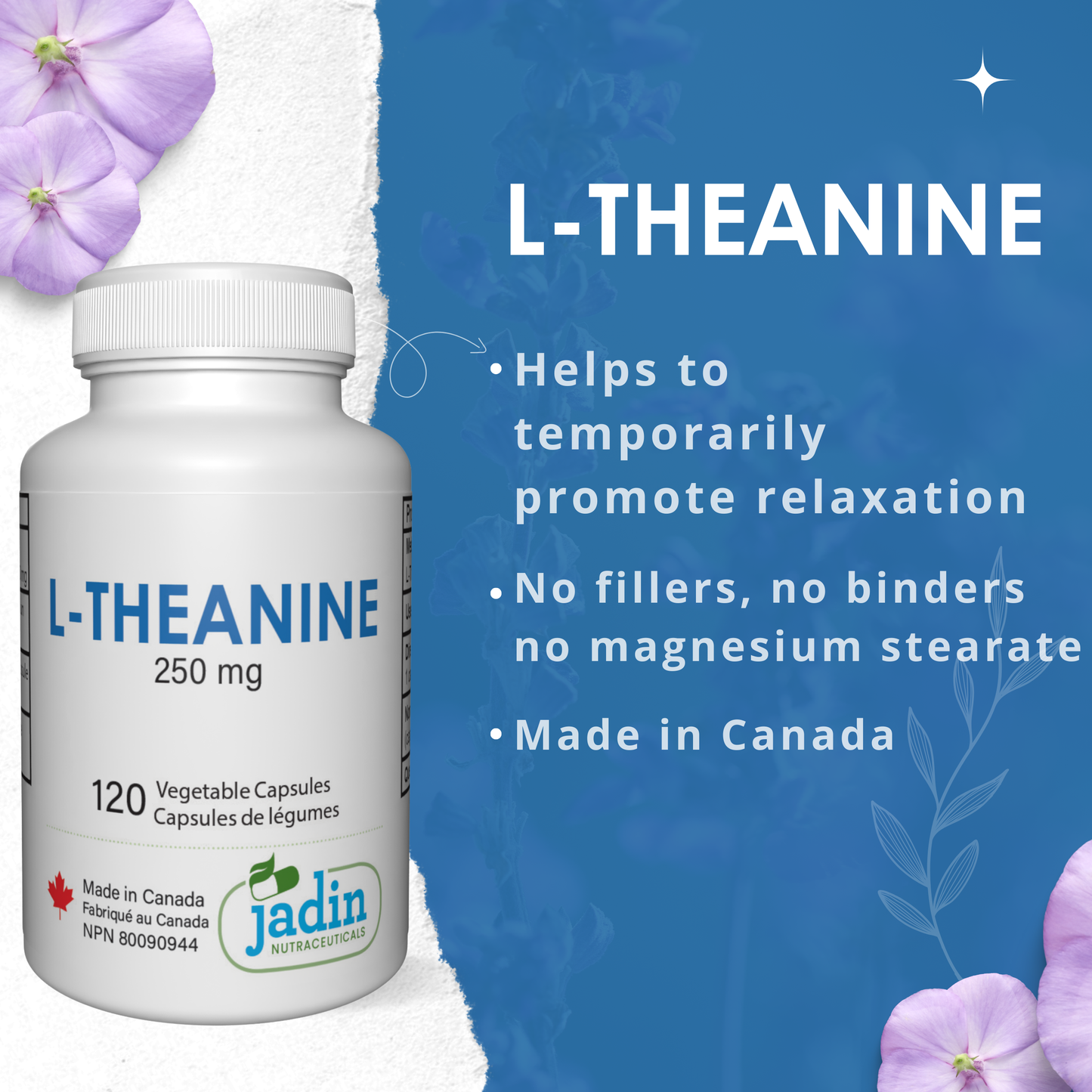 L-THEANINE 250 mg – Pure – No Fillers – 120 Vegetable Capsules