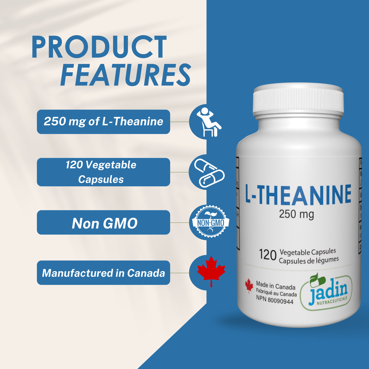 L-THEANINE 250 mg – Pure – No Fillers – 120 Vegetable Capsules