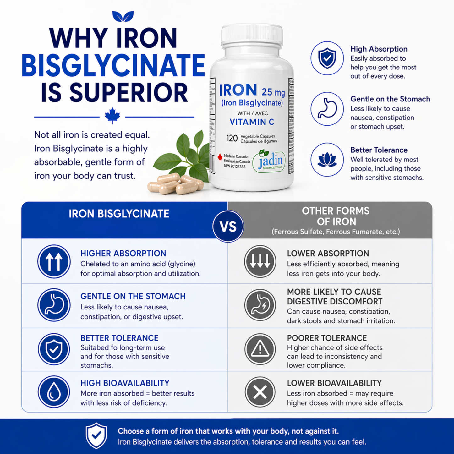 Iron Bisglycinate 25 mg with Vitamin C – 120 Vegetable Capsules