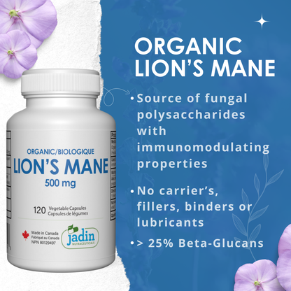 Organic Lion's Mane Mushroom 500 mg - 120 Vegetable Capsules