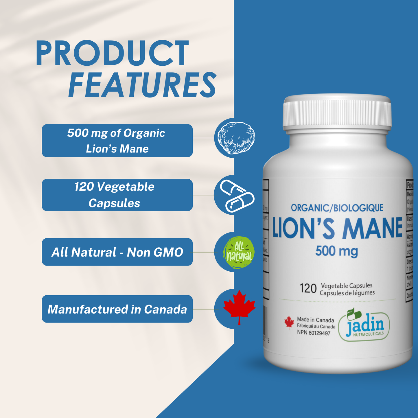 Organic Lion's Mane Mushroom 500 mg - 120 Vegetable Capsules