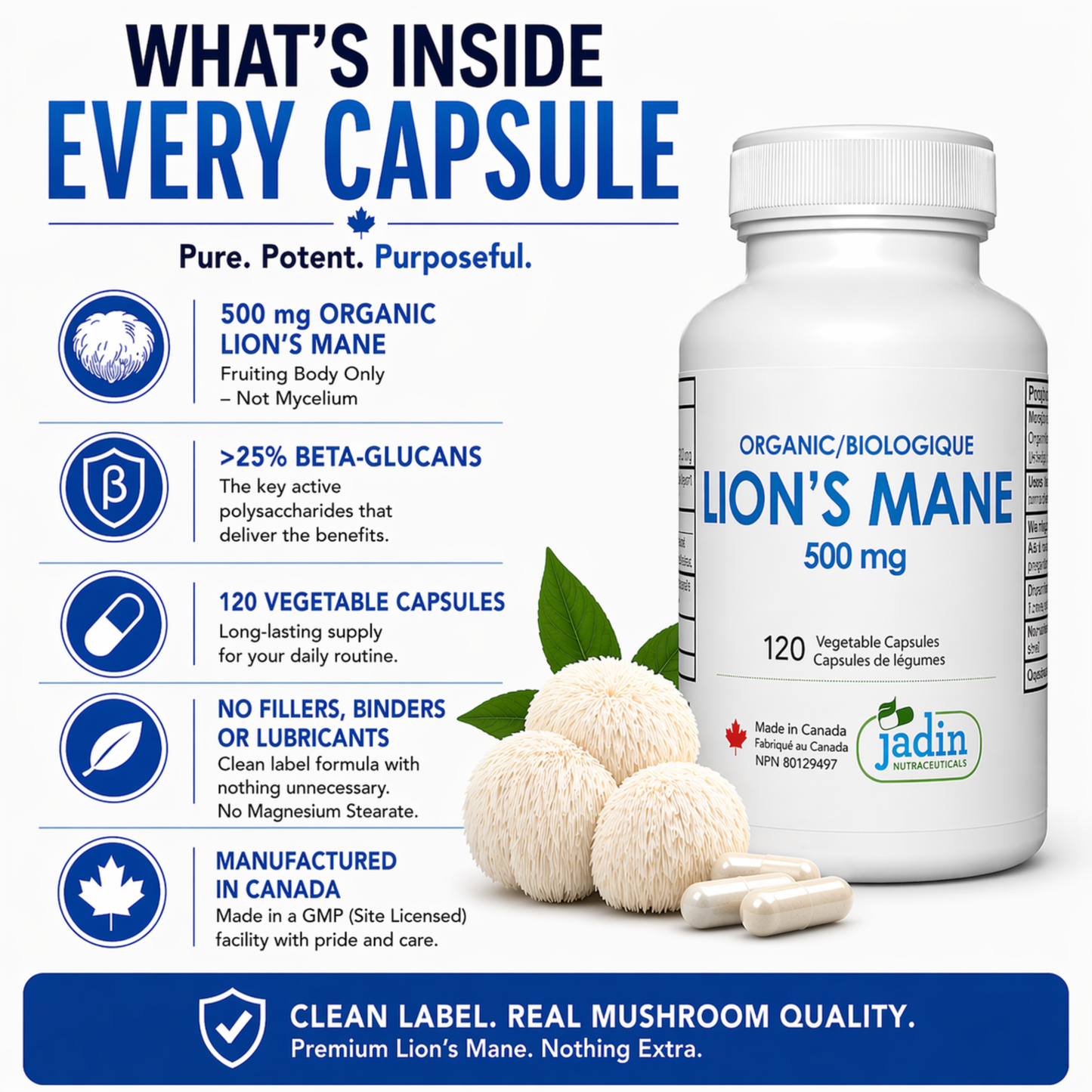 Organic Lion's Mane Mushroom 500 mg - 120 Vegetable Capsules