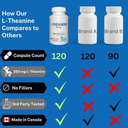 L-THEANINE 250 mg – Pure – No Fillers – 120 Vegetable Capsules