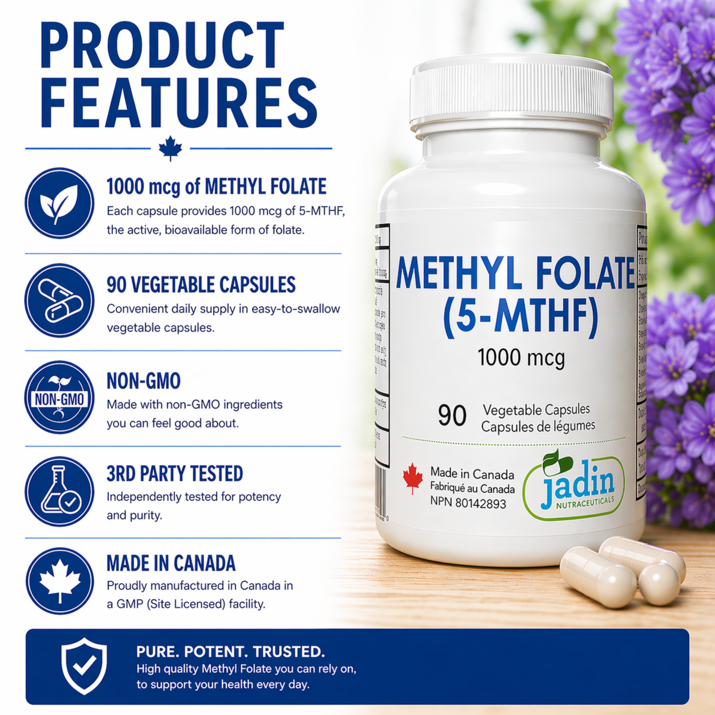 Methyl Folate (5-MTHF) 1000 mcg - 90 Vegetable Capsules