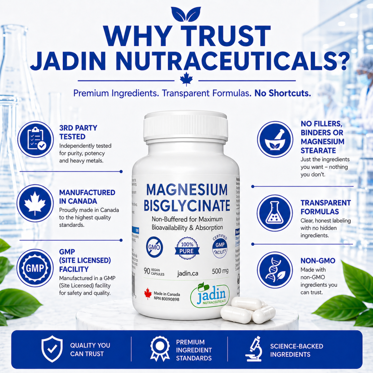 Magnesium Bisglycinate 500 mg (Albion TRAACS®) – 100% Pure – No Fillers –   Non-Buffered – 90 Vegetable Capsules