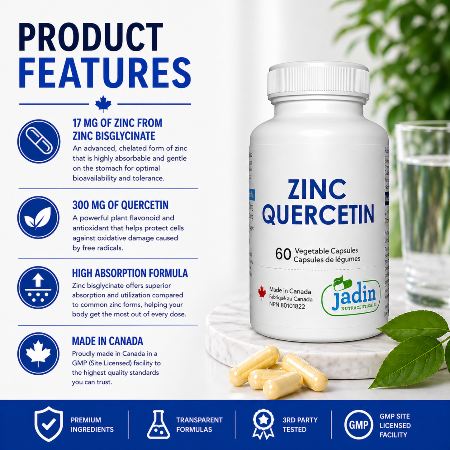 Zinc Bisglycinate + Quercetin – 60 Vegetable Capsules