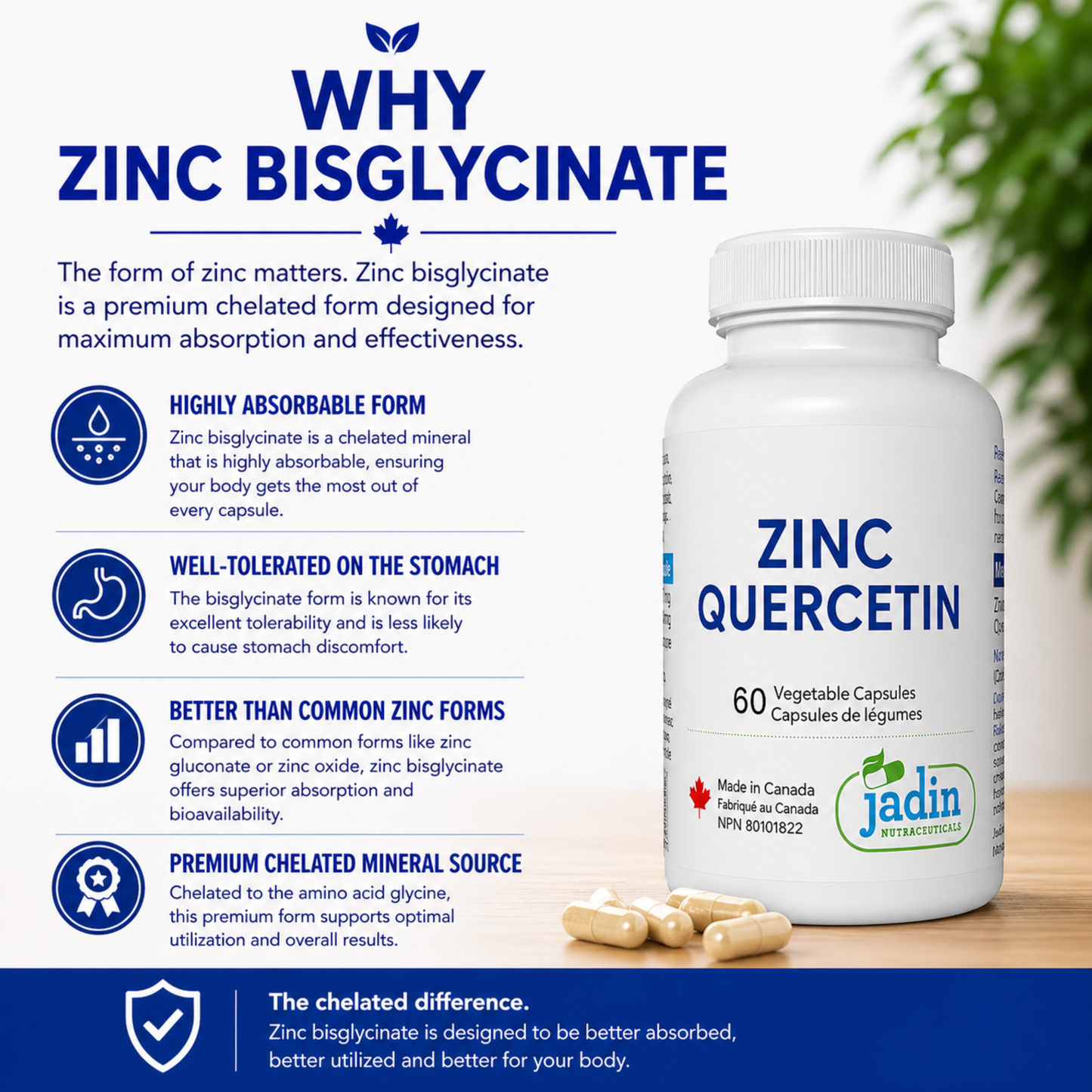 zinc bisglycinate highly absorbable form well-tolerated on stomach better than common zinc forms premium chelated mineral