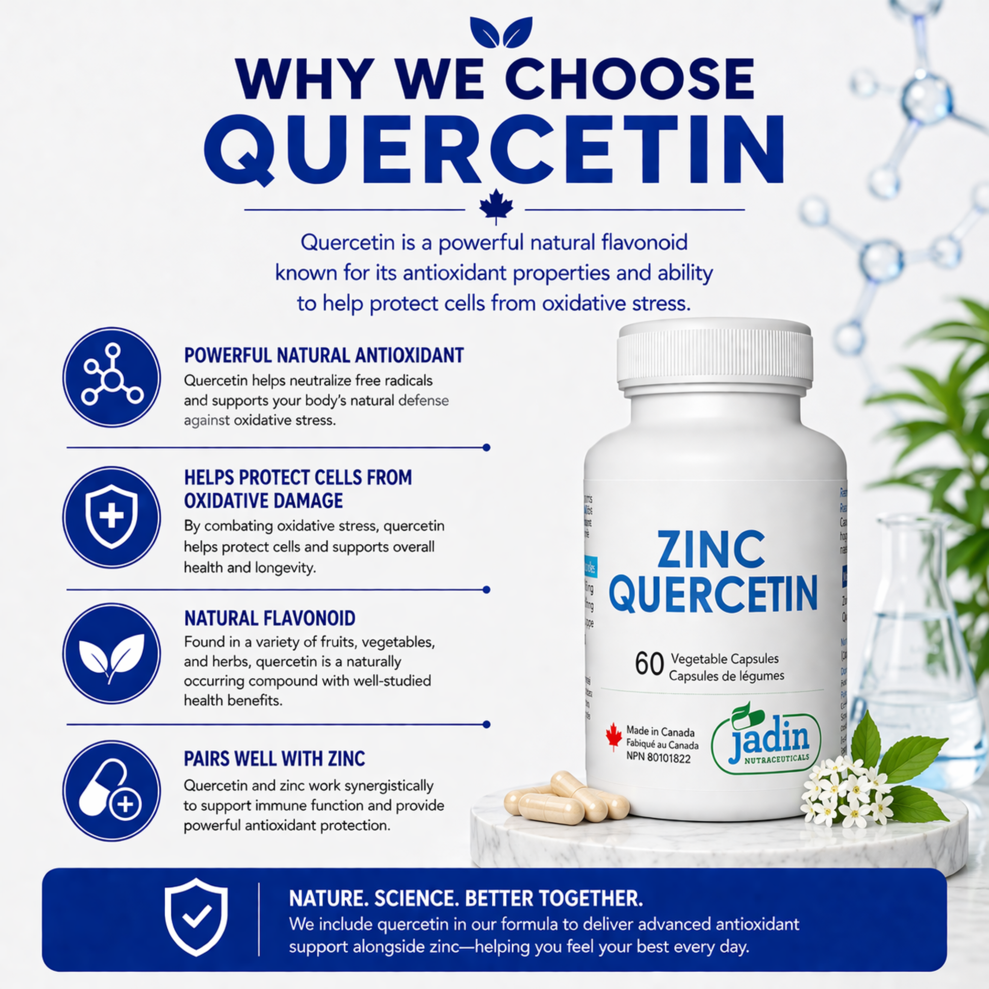 quercetin a powerful natural antioxidant helps protect cells from oxidative damage natural flavonoid pairs well with zinc